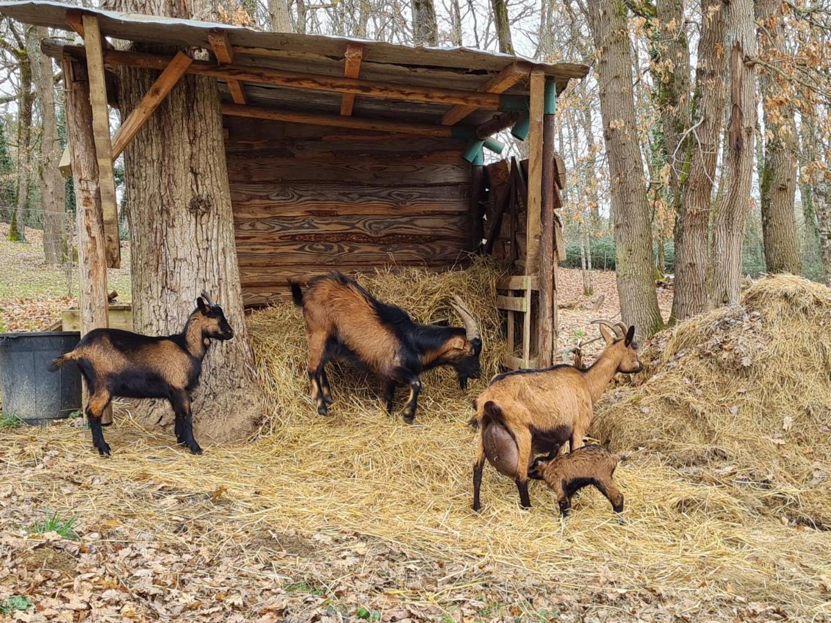 Вилла L Occitane Gimont Экстерьер фото